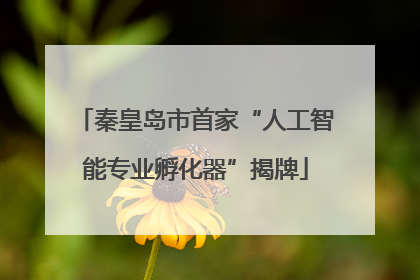 秦皇岛市首家“人工智能专业孵化器”揭牌