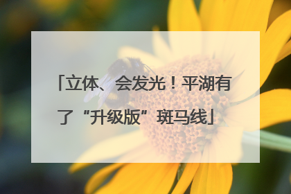 立体、会发光！平湖有了“升级版”斑马线