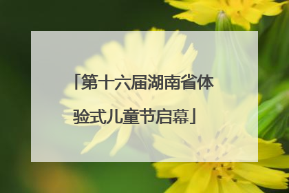 第十六届湖南省体验式儿童节启幕