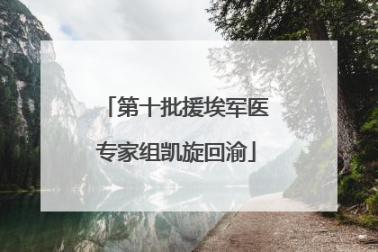 第十批援埃军医专家组凯旋回渝
