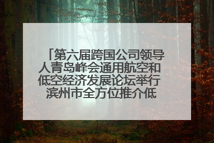 第六届跨国公司领导人青岛峰会通用航空和低空经济发展论坛举行 滨州市全方位推介低空经济发展优势