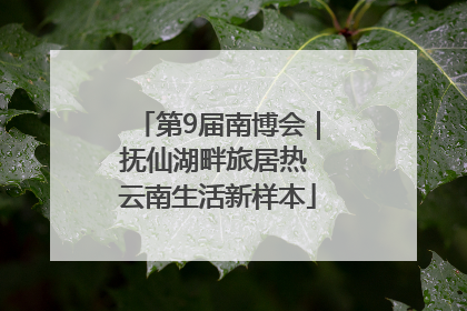 第9届南博会｜抚仙湖畔旅居热 云南生活新样本