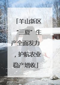 羊山新区“三夏”生产全面发力，护航农业稳产增收