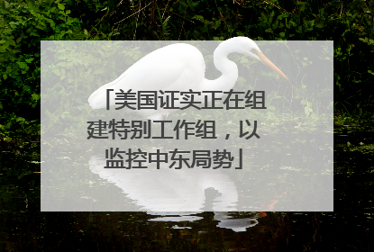 美国证实正在组建特别工作组，以监控中东局势
