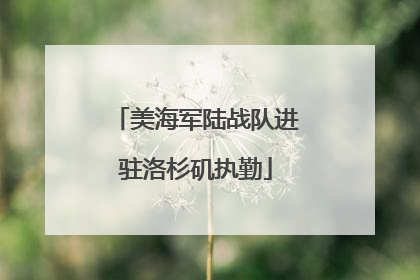 美海军陆战队进驻洛杉矶执勤