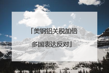 美钢铝关税加倍 多国表达反对