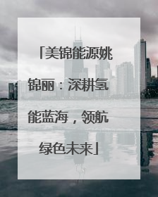 美锦能源姚锦丽：深耕氢能蓝海，领航绿色未来