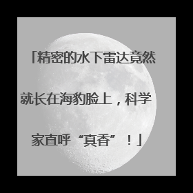 精密的水下雷达竟然就长在海豹脸上，科学家直呼“真香”！