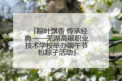 粽叶飘香 传承经典——芜湖高级职业技术学校举办端午节包粽子活动