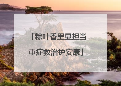粽叶香里显担当 重症救治护安康