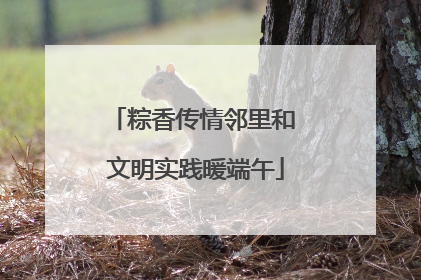 粽香传情邻里和 文明实践暖端午