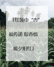 红领巾“杏”福传递 粽香情暖夕阳红