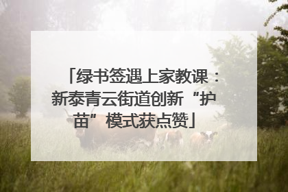 绿书签遇上家教课：新泰青云街道创新“护苗”模式获点赞
