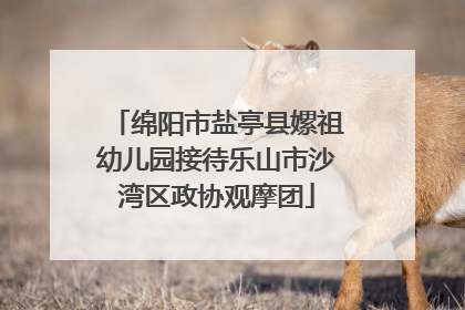 绵阳市盐亭县嫘祖幼儿园接待乐山市沙湾区政协观摩团