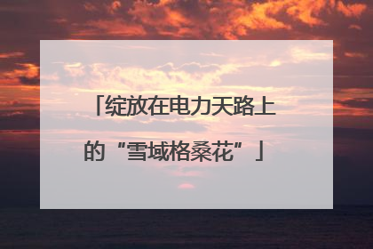 绽放在电力天路上的“雪域格桑花”