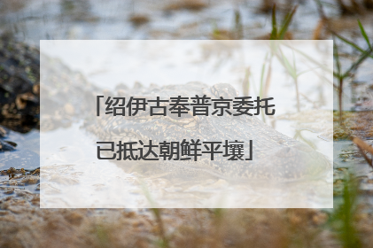 绍伊古奉普京委托已抵达朝鲜平壤