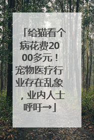 给猫看个病花费2000多元！宠物医疗行业存在乱象，业内人士呼吁→