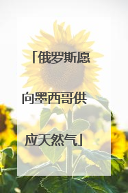 俄罗斯愿向墨西哥供应天然气