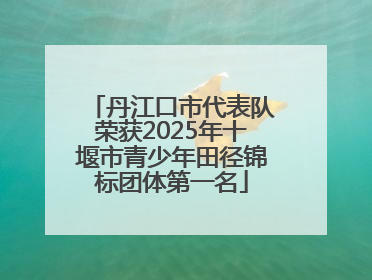 丹江口市代表队荣获2025年十堰市青少年田径锦标团体第一名