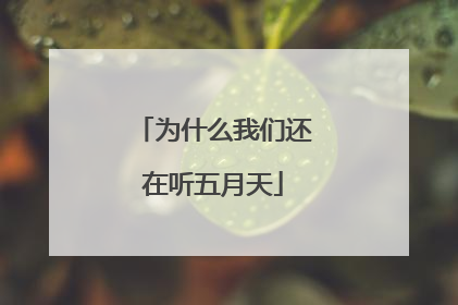 为什么我们还在听五月天