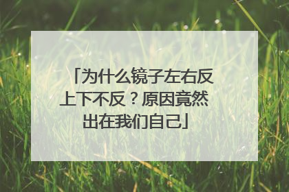 为什么镜子左右反上下不反？原因竟然出在我们自己