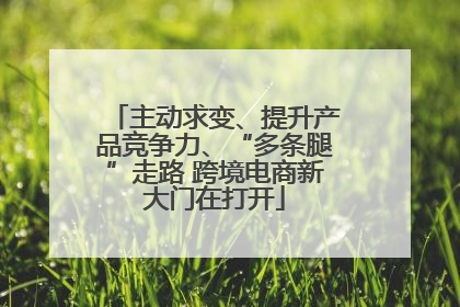 主动求变、提升产品竞争力、“多条腿”走路 跨境电商新大门在打开