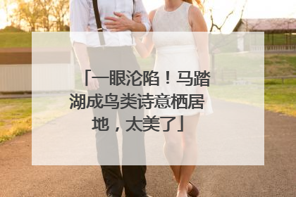 一眼沦陷！马踏湖成鸟类诗意栖居地，太美了