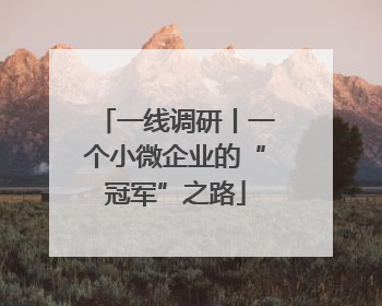 一线调研丨一个小微企业的“冠军”之路