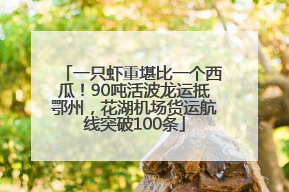 一只虾重堪比一个西瓜！90吨活波龙运抵鄂州，花湖机场货运航线突破100条