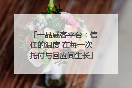 一品威客平台：信任的温度 在每一次托付与回应间生长