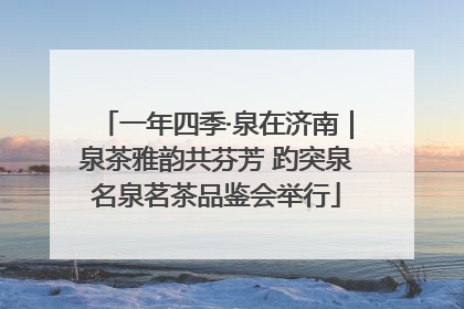 一年四季·泉在济南｜泉茶雅韵共芬芳 趵突泉名泉茗茶品鉴会举行