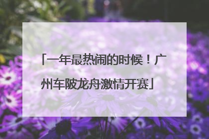 一年最热闹的时候！广州车陂龙舟激情开赛