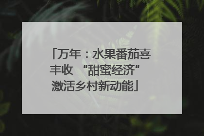 万年：水果番茄喜丰收 “甜蜜经济”激活乡村新动能