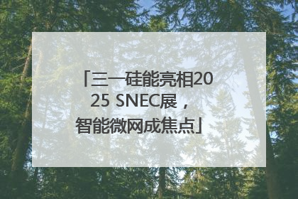 三一硅能亮相2025 SNEC展，智能微网成焦点