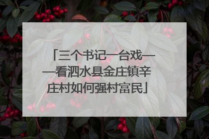 三个书记一台戏——看泗水县金庄镇辛庄村如何强村富民