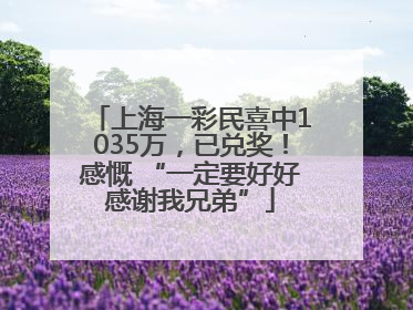 上海一彩民喜中1035万，已兑奖！感慨 “一定要好好感谢我兄弟”