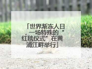 世界渐冻人日，一场特殊的“红毯仪式”在黄浦江畔举行