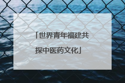 世界青年福建共探中医药文化