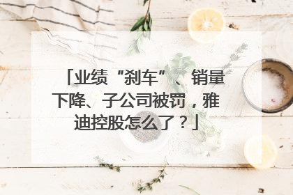 业绩“刹车”、销量下降、子公司被罚，雅迪控股怎么了？