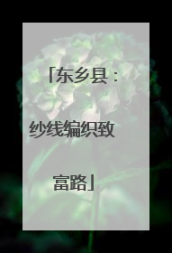 东乡县：纱线编织致富路
