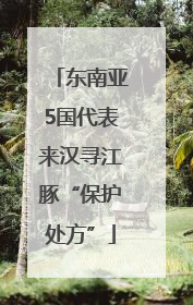东南亚5国代表来汉寻江豚“保护处方”