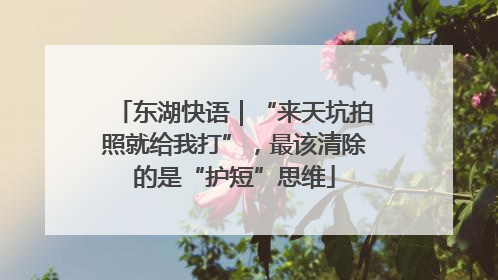 东湖快语｜“来天坑拍照就给我打”，最该清除的是“护短”思维