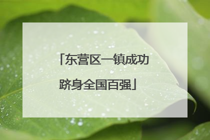 东营区一镇成功跻身全国百强