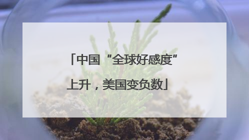 中国“全球好感度”上升，美国变负数