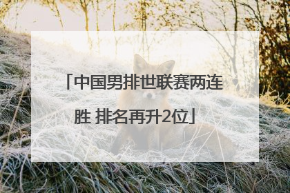 中国男排世联赛两连胜 排名再升2位
