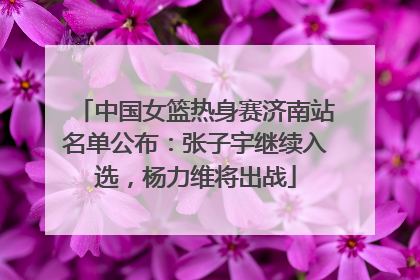 中国女篮热身赛济南站名单公布：张子宇继续入选，杨力维将出战