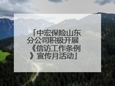 中宏保险山东分公司积极开展《信访工作条例》宣传月活动