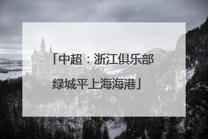 中超：浙江俱乐部绿城平上海海港