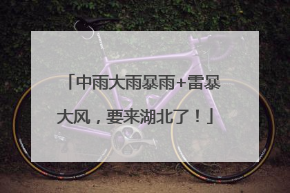 中雨大雨暴雨+雷暴大风，要来湖北了！