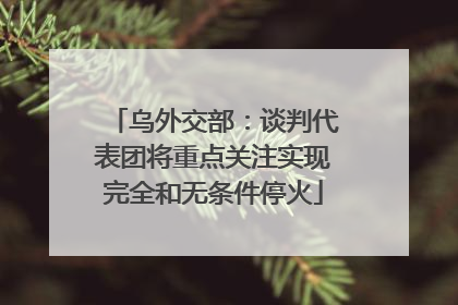 乌外交部：谈判代表团将重点关注实现完全和无条件停火